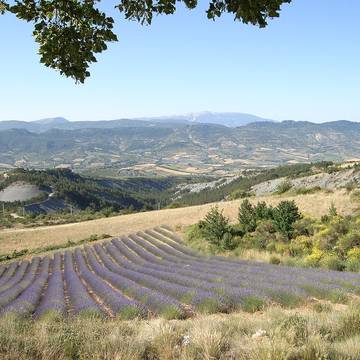 Porte Saint-Marcel de Die